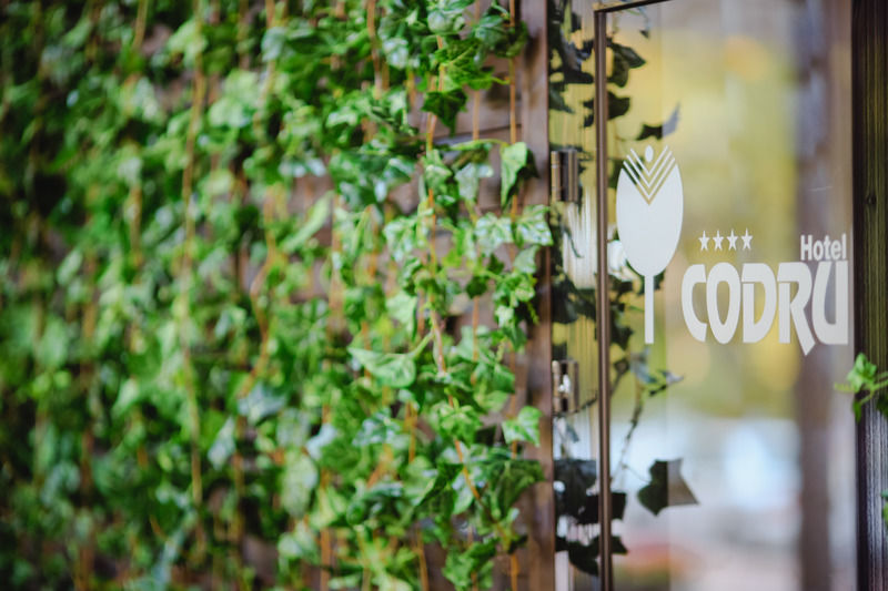 Codru Hotel Κισινάου Εξωτερικό φωτογραφία